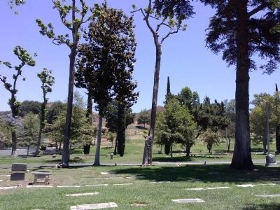 Cemetery with Catalpa Trees image. Click for full size.