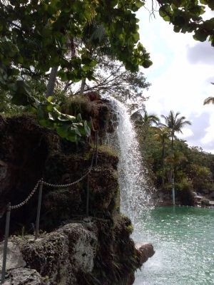 Venetian Pool waterfall image. Click for full size.
