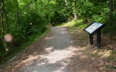 Roads in the Wilderness Wayside Exhibit image. Click for full size.