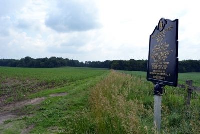 View towards Stewart-Griesinger Cemetery. Click for full size. View towards Stewart-Griesinger Cemetery image. Click for full size.