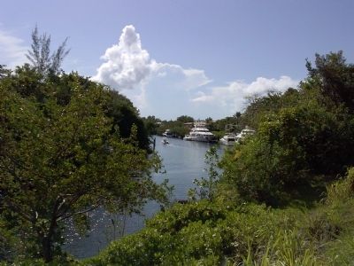 Coral Gables Waterway image. Click for full size.