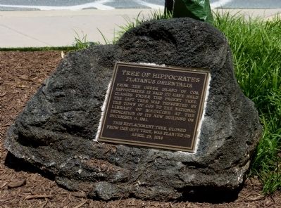 Tree of Hippocrates Marker image. Click for full size.