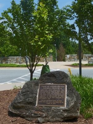 Tree of Hippocrates Marker image. Click for full size.