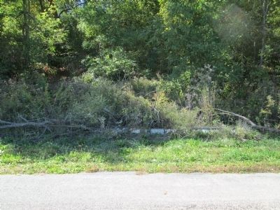 Fort Nesbit site image. Click for full size.