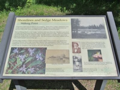 Shorelines and Sedge Meadows Marker image. Click for full size.