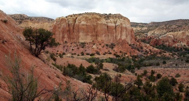 View from the Box Canyon Trail at Ghost Ranch image. Click for full size.