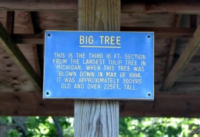 Big Tree Marker image. Click for full size.