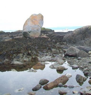 Harpoon Rock during low tide image. Click for full size.