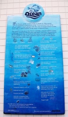 Year of the Ocean Marker image. Click for full size.