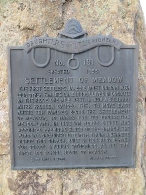 Settlement of Meadow Marker image. Click for full size.