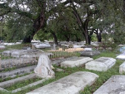 Coconut Grove Cemetery on Charles Avenue. Click for full size. Coconut Grove Cemetery on Charles Avenue image. Click for full size.