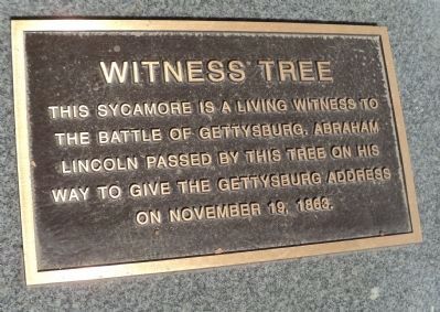 Witness Tree Marker image. Click for full size.