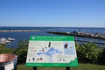 Open Water = Winter Birds Marker image. Click for full size.