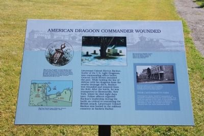 American Dragoon Commander Wounded Marker image. Click for full size.
