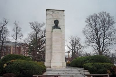 The Walter Reed Bust image. Click for full size.