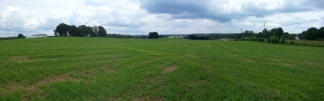 First Day at Chancellorsville (facing east). Click for full size. First Day at Chancellorsville (facing east) image. Click for full size.