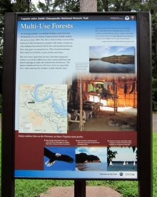 Multi-Use Forests (panel 3). Click for full size. Multi-Use Forests (panel 3) image. Click for full size.
