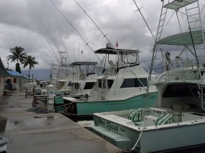 Haulover Beach charter boat fishing dock today image. Click for full size.