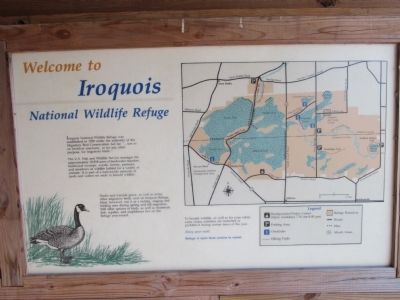 Welcome to Iroquois National Wildlife Refuge Marker image. Click for full size.