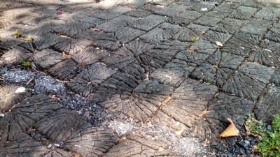 Roslyn Place Wood Block Paved Street image. Click for full size.