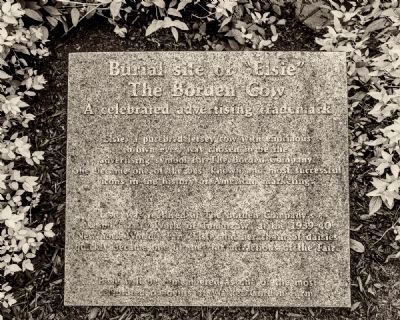 Burial site of "Elsie" Marker at the MOO-memorial image. Click for full size.