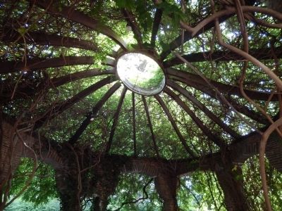 Wisteria and Grape Vine Canopy over the Finger Bowl image. Click for full size.