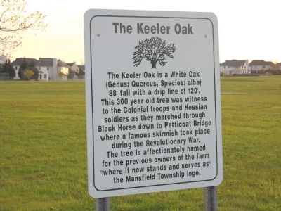The Keeler Oak Marker. Click for full size. The Keeler Oak Marker image. Click for full size.