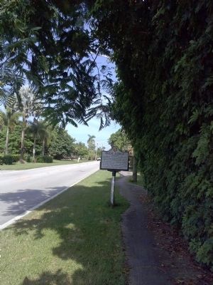 Palm Lodge Marker on Avocado Drive image. Click for full size.