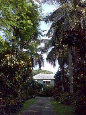 Palm Lodge. Click for full size. Palm Lodge image. Click for full size.