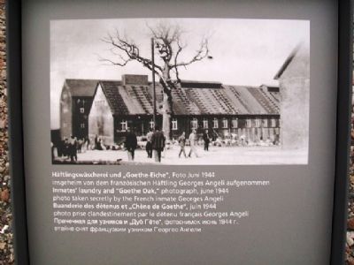 Photo and Inmates' Laundry and "Goethe Oak" Marker image. Click for full size.