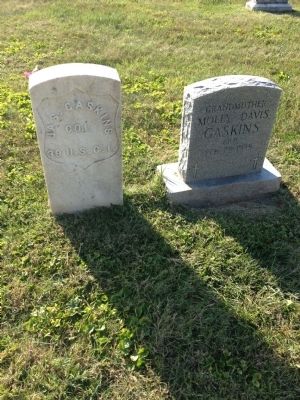 Grave of James Gaskins image. Click for full size.