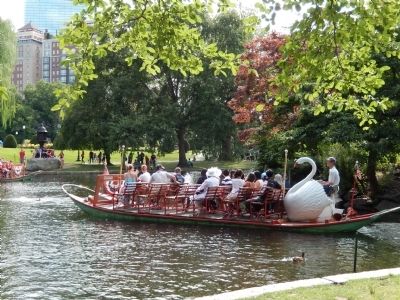 Swan ride in Boston Public Garden image. Click for full size.