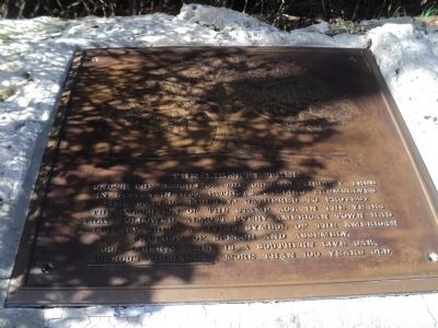 The Liberty Tree Marker image. Click for full size.