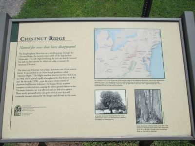 Chestnut Ridge Marker image. Click for full size.