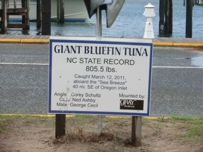 Giant Bluefin Tuna Marker image. Click for full size.