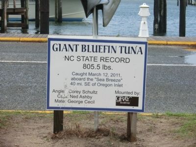 Giant Bluefin Tuna Marker. Click for full size. Giant Bluefin Tuna Marker image. Click for full size.