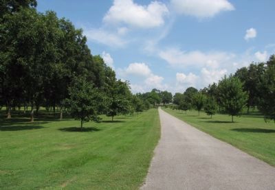 Cotton Hill driveway image. Click for full size.