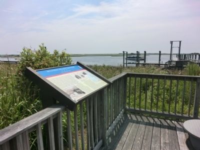 Huggins Island Battery Marker image. Click for full size.