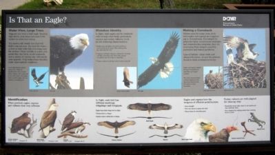 Is That an Eagle? Marker. Click for full size. Is That an Eagle? Marker image. Click for full size.