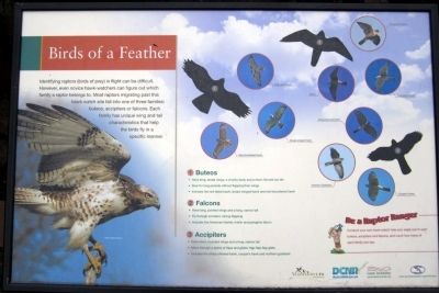 Birds of a Feather Marker image. Click for full size.