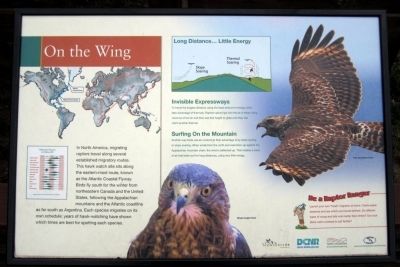 On the Wing Marker. Click for full size. On the Wing Marker image. Click for full size.