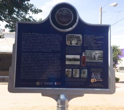 Turner's Drug Store Marker (Rear). Click for full size. Turner's Drug Store Marker (Rear) image. Click for full size.