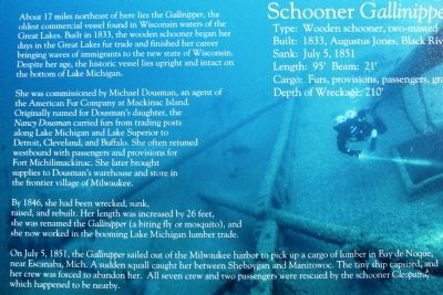Schooner <i>Gallinipper</i> Marker image. Click for full size.