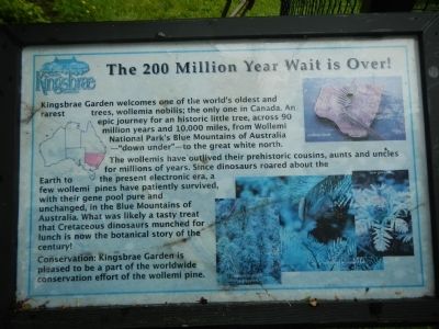The 200 Million Year Wait is Over! Marker image. Click for full size.