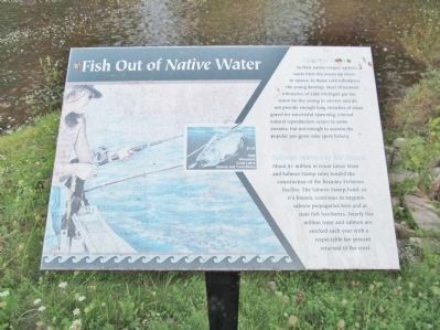 Fish Out of <i>Native</i> Water image. Click for full size.