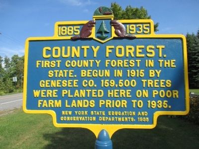 County Forest Marker image. Click for full size.