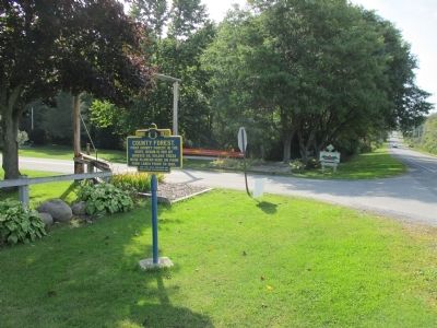 County Forest Marker. Click for full size. County Forest Marker image. Click for full size.