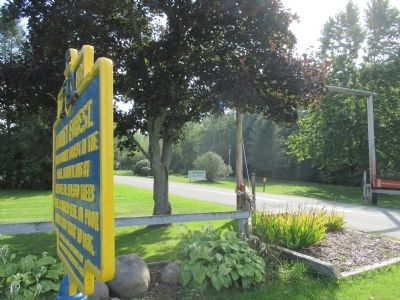County Forest Marker. Click for full size. County Forest Marker image. Click for full size.