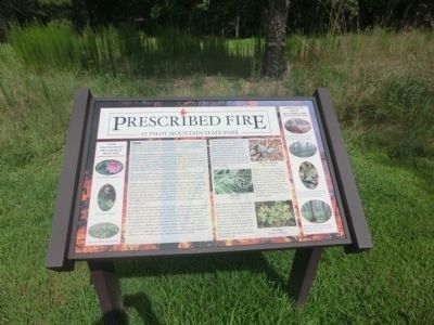 Prescribed Fire Marker image. Click for full size.