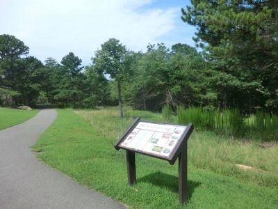 Prescribed Fire Marker image. Click for full size.